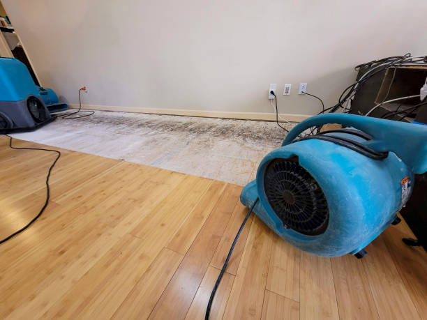 Professional Water Damage Repair technician working in Bremen, GA